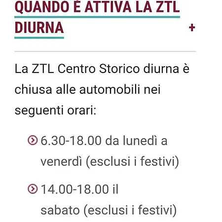 Giulia's Nidus *